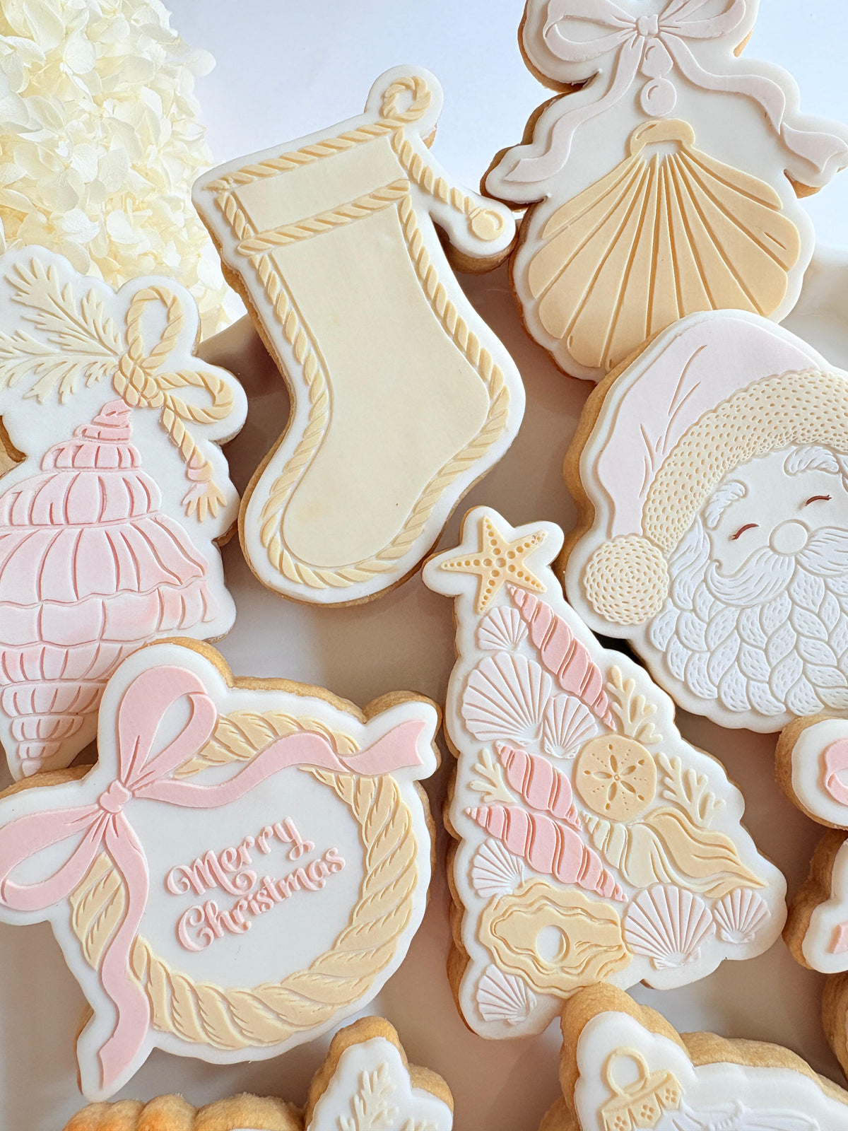 Clam Shell with Bow Raised Cookie Stamp/Fondant Debosser & Cutter