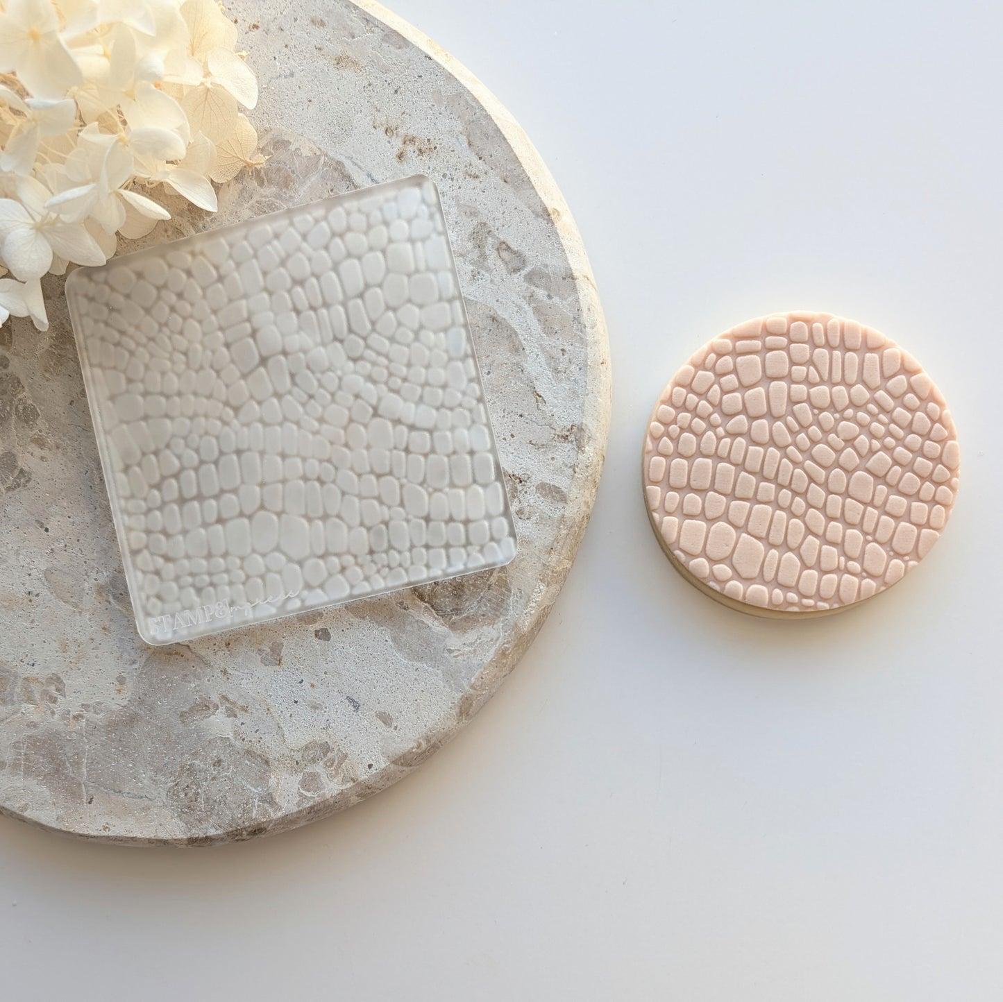 Dinosaur/Crocodile Pattern Raised Cookie Stamp/Fondant Debosser