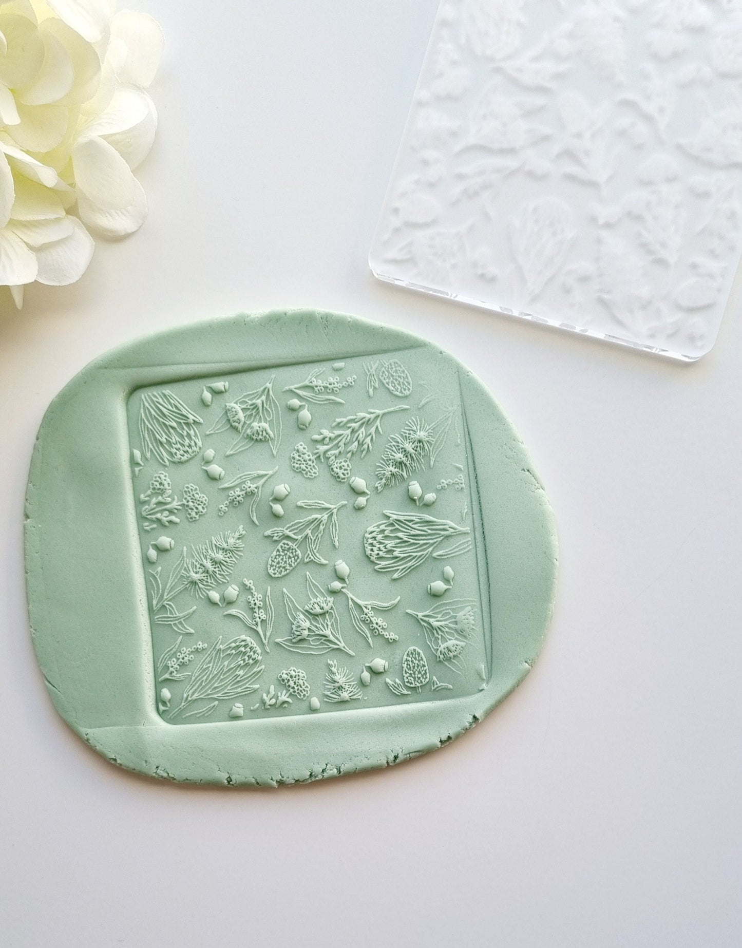 native australian floral pattern gumnut banksia pretty flowers texture cookie stamp cutter stamp & impress stamp and impress