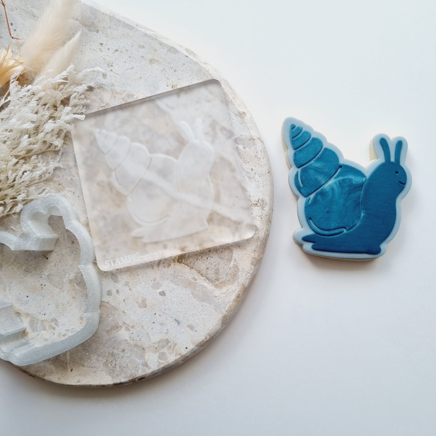 Snail Raised Cookie Stamp/Fondant Debosser & Cutter