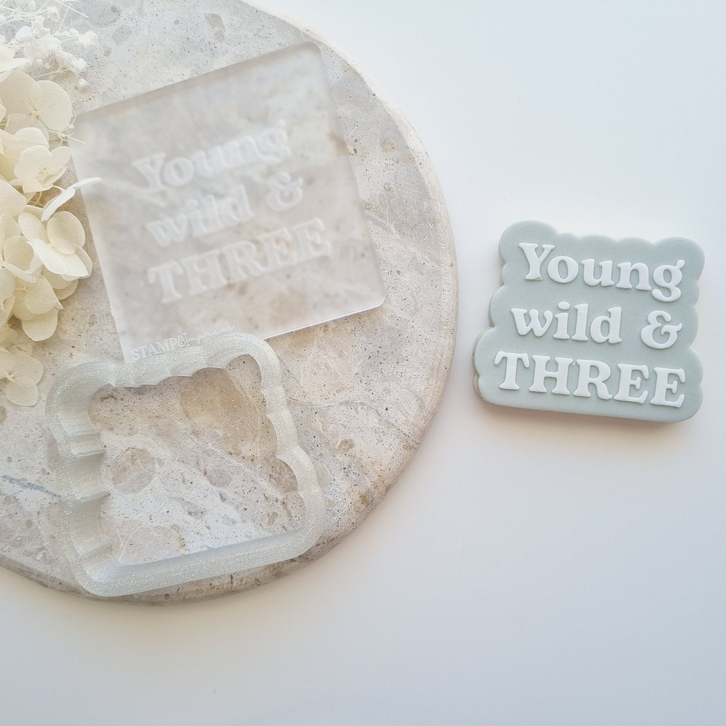 young wild and three safari theme cookie stamp cookie cutter stampandimpress