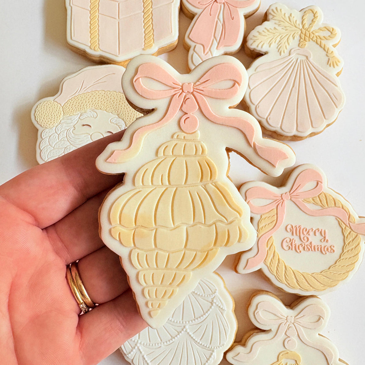 Conch Shell with Bow Raised Cookie Stamp/Fondant Debosser & Cutter