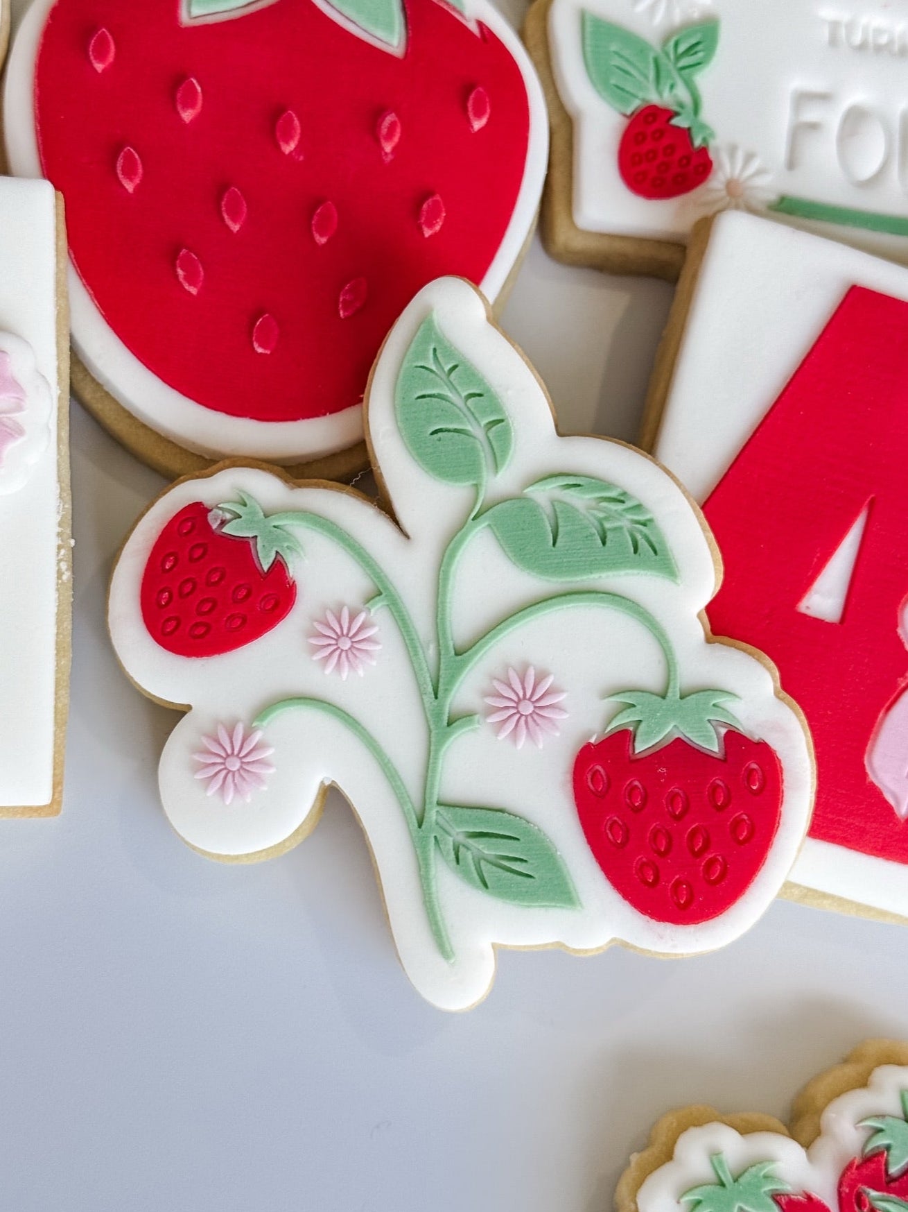 Strawberry Plant Raised Cookie Stamp/Fondant Debosser & Cutter