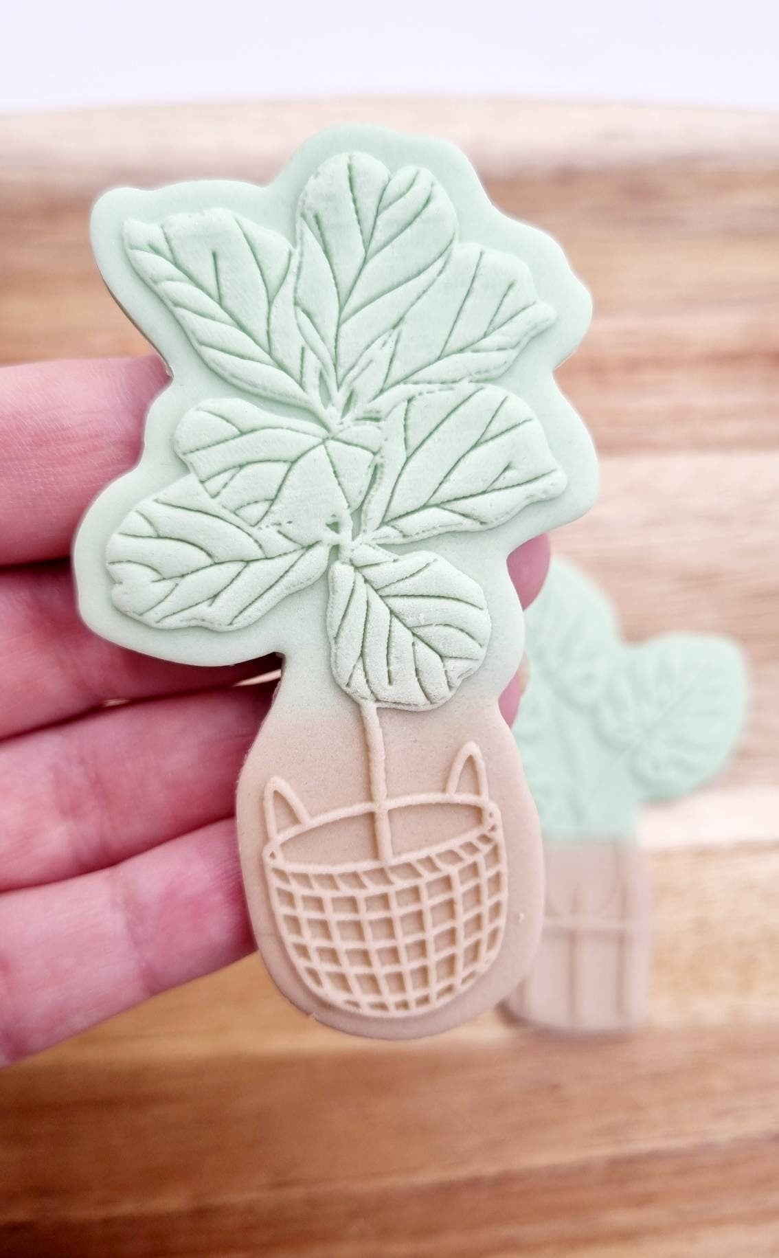 pattern cookie stamp cookie cutter baker bake baking cute beautiful design embosser debosser decorate fondant Perth Australia stampandimpress stamp & impress flowers bunch vase thanks grow flower rose daisy monstera fiddle leaf fig mothers day