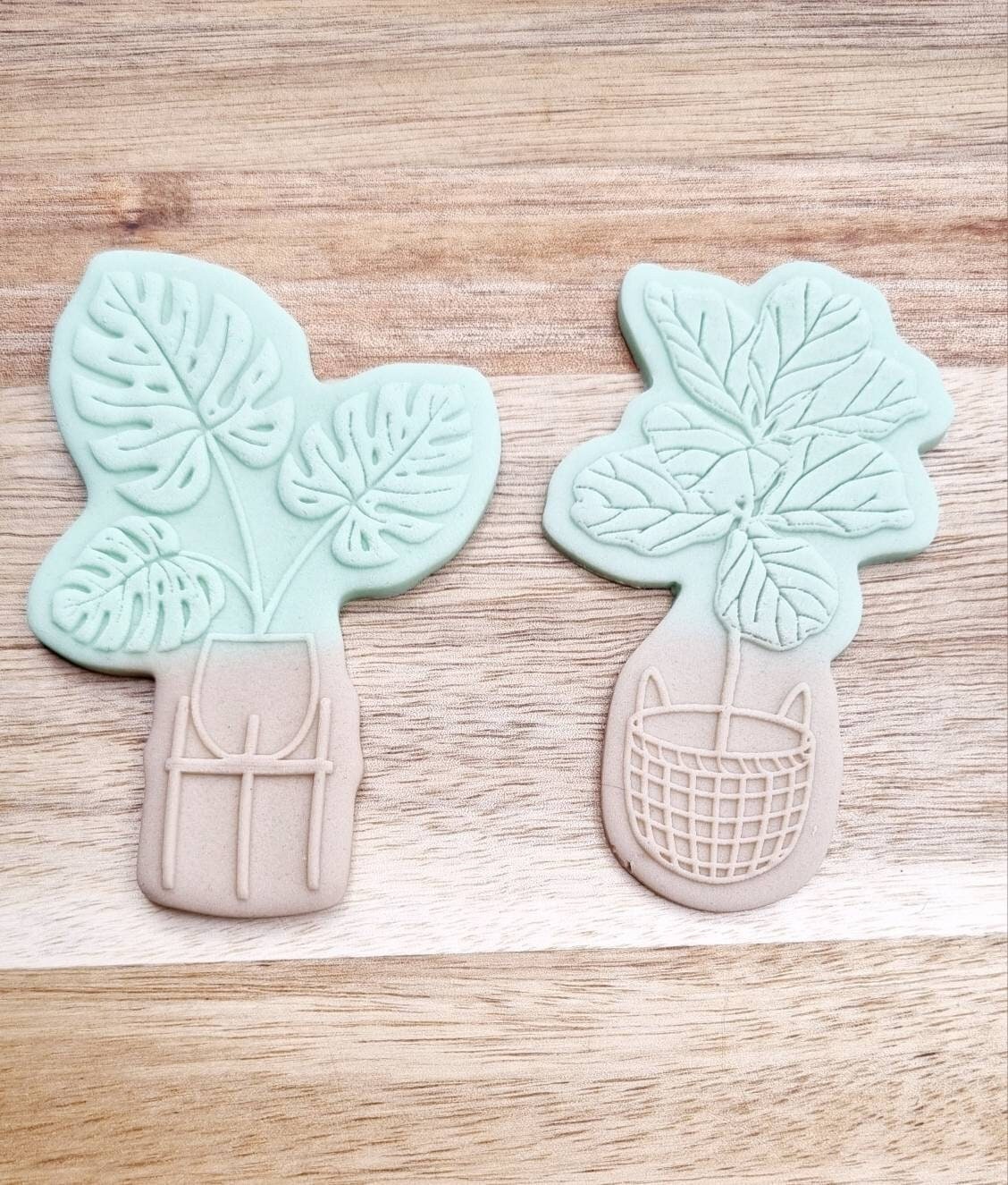 pattern cookie stamp cookie cutter baker bake baking cute beautiful design embosser debosser decorate fondant Perth Australia stampandimpress stamp & impress flowers bunch vase thanks grow flower rose daisy monstera fiddle leaf fig mothers day