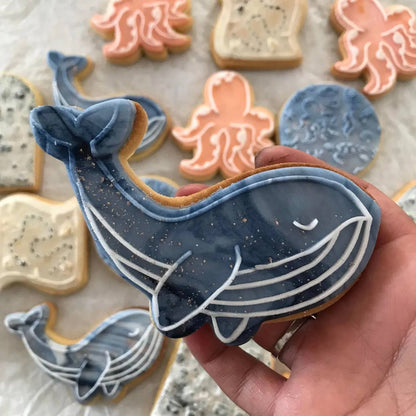 pattern cookie stamp cookie cutter baker bake baking cute beautiful design embosser debosser decorate fondant Perth Australia custom stampandimpress stamp & impress whale under the sea octopus sea life turtle ocean pirate