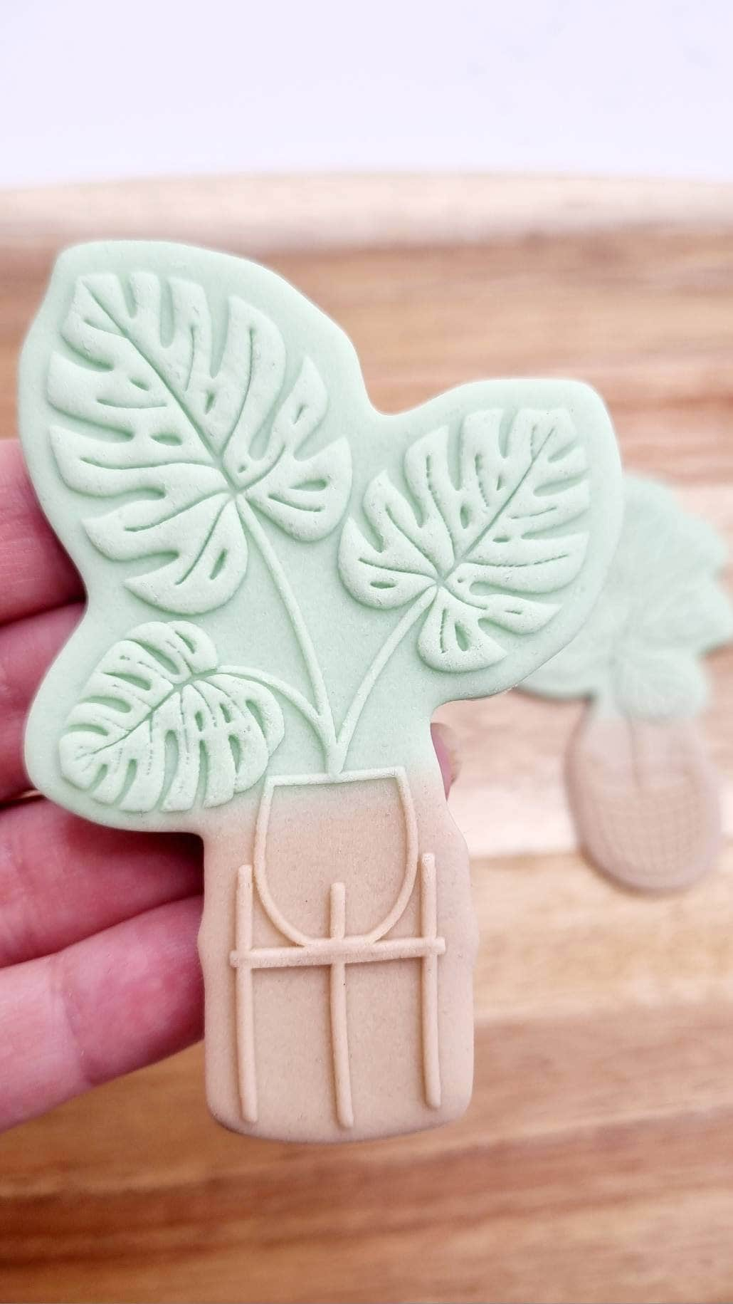 pot plant home house monstera leaf tree cookie cutter cookie stamp housewarming stamp & impress