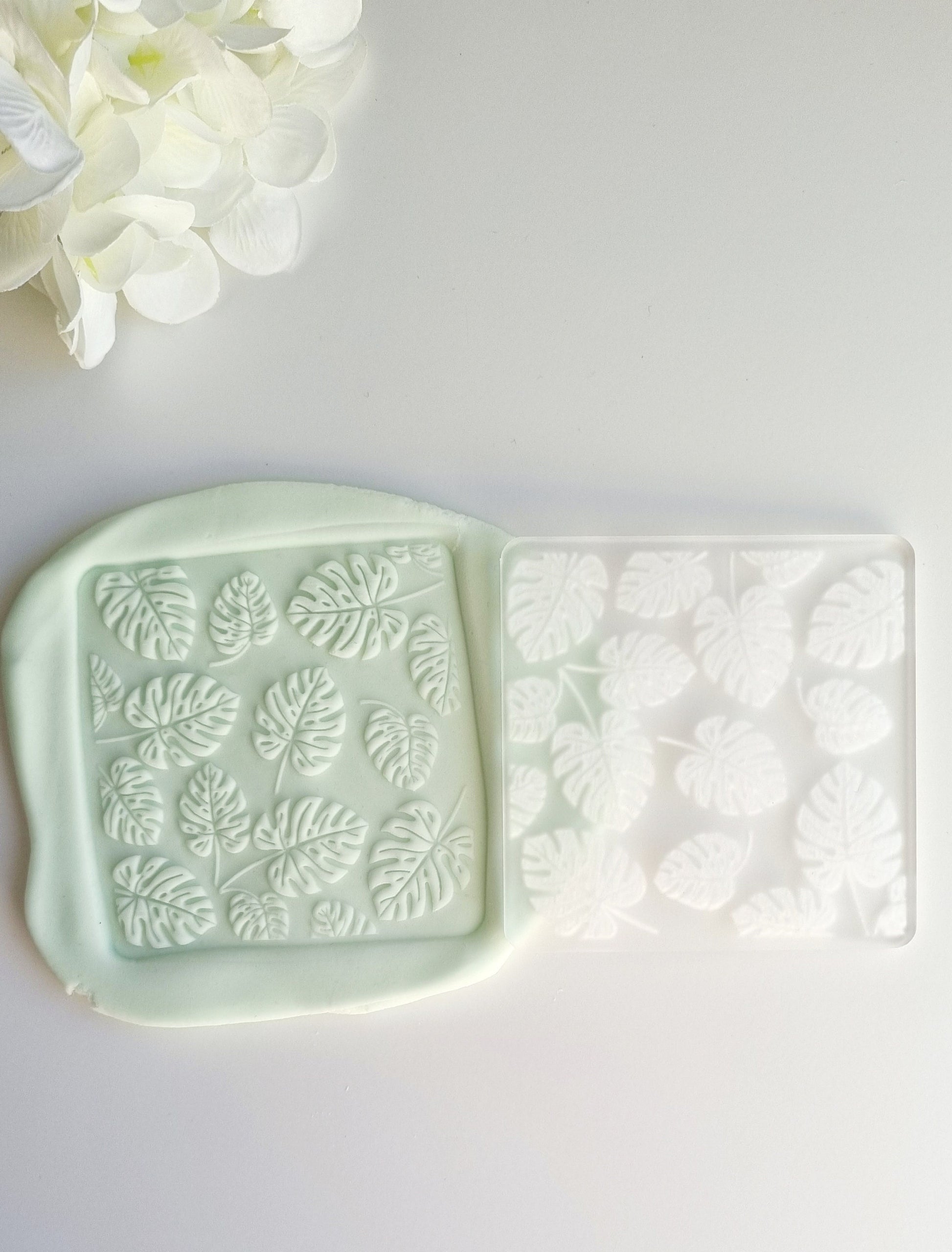 pattern cookie stamp cookie cutter baker bake baking cute beautiful design embosser debosser decorate fondant Perth Australia custom stampandimpress stamp & impress monstera pattern plant leaves tropical safari