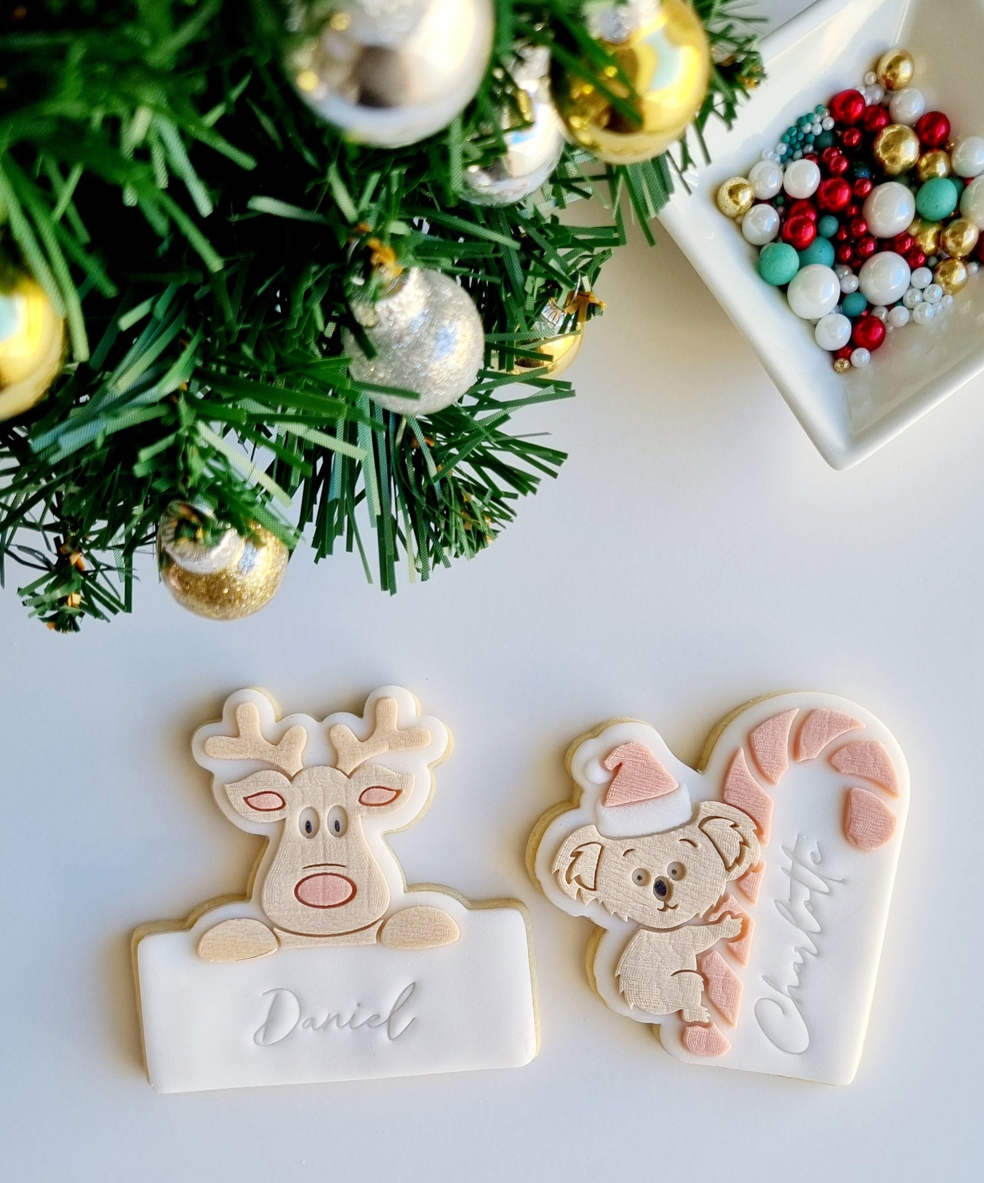 Reindeer Plaque Raised Cookie Stamp/Fondant Debosser Cutter