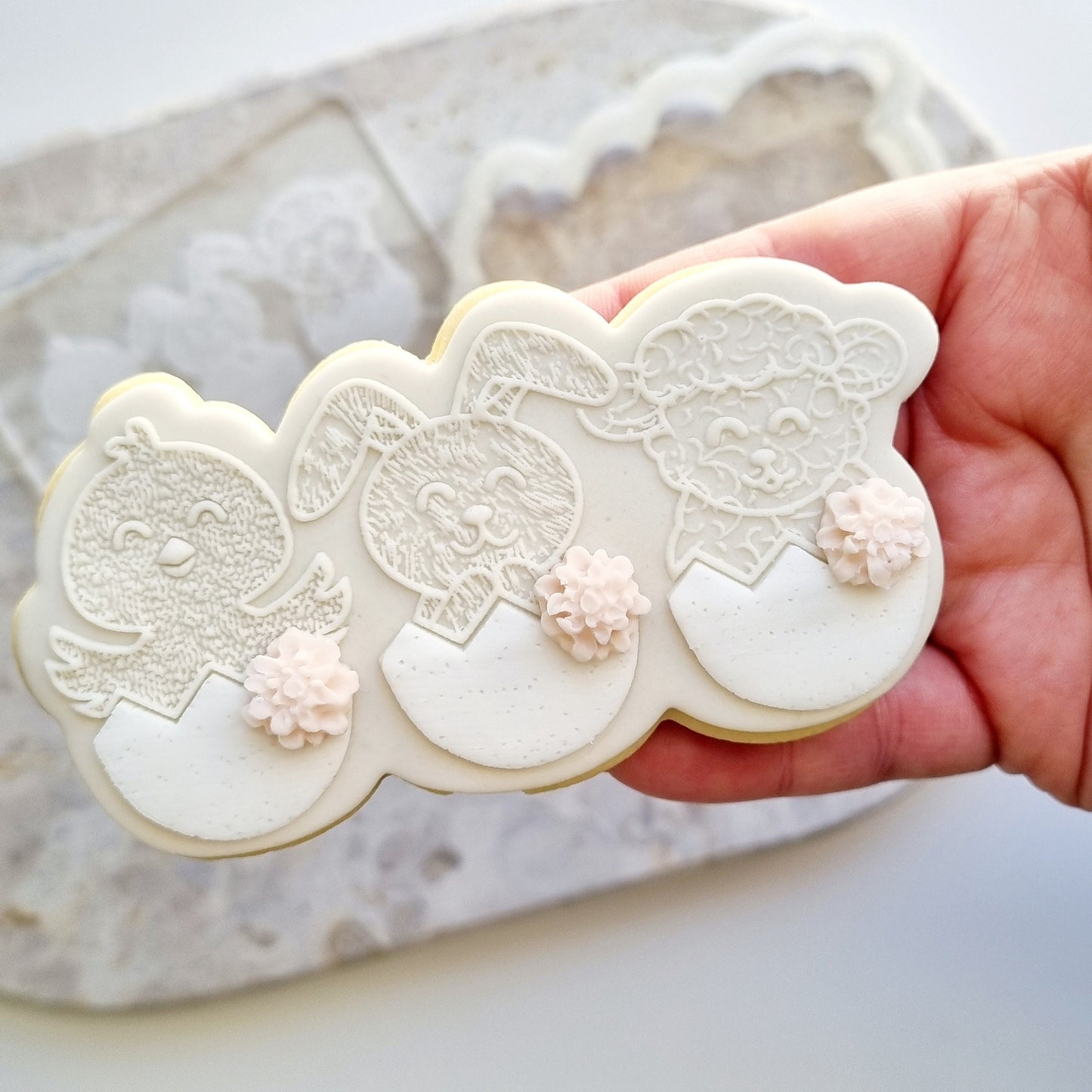 stamp and impress stamp & impress cookie cutter easter egg bunny rabbit carrot spring bloom flower lace tail chick egg lamb plaque mini eggs nest bird bird&#39;s garden floral wavy happy easter impression raised fondant