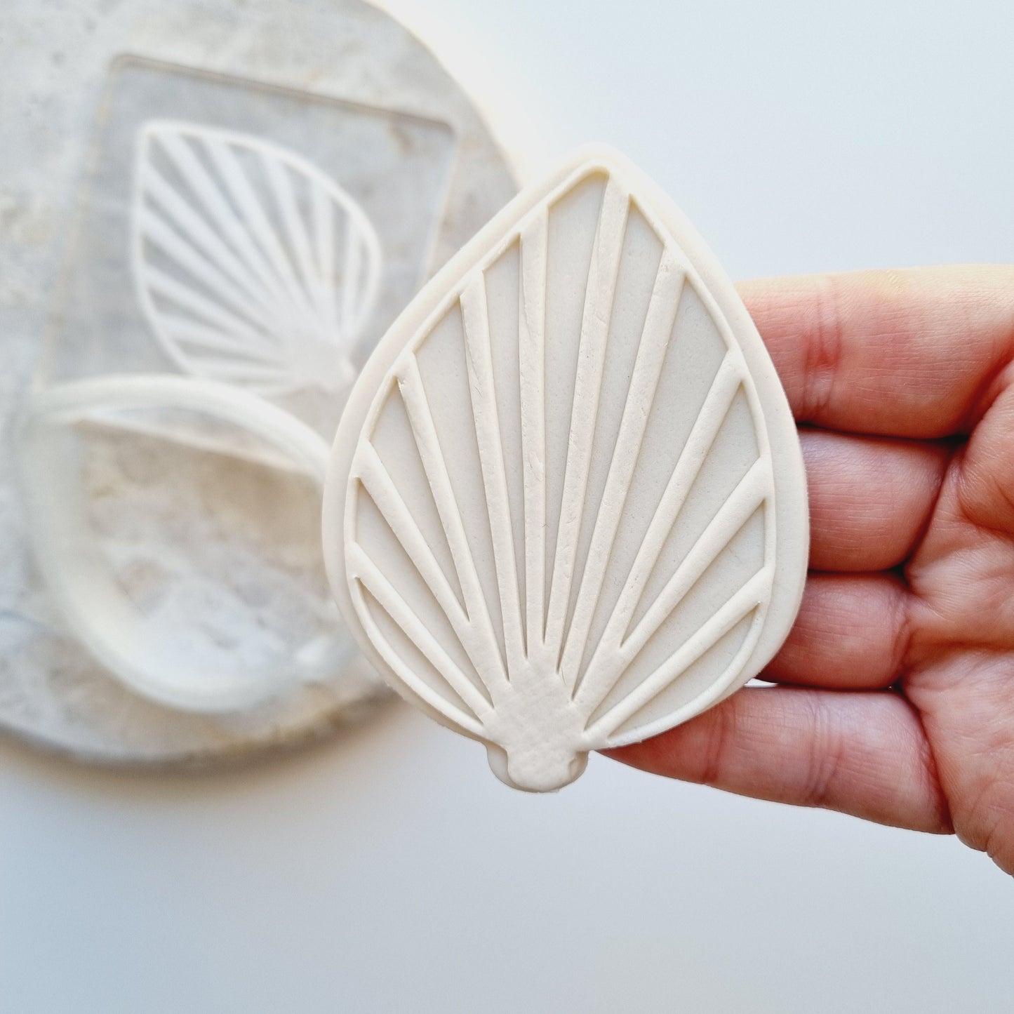 dried palm leaf leaves boho fan cookie stamp cookie cutter fondant debosser stampandimpress