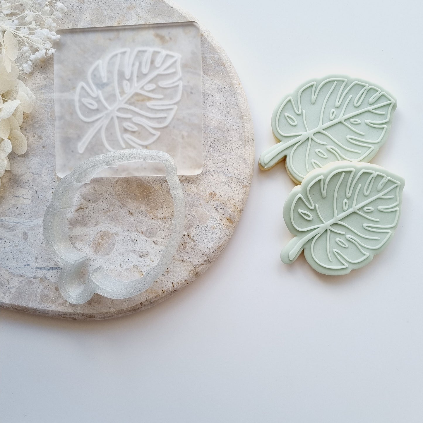 monstera leaf tropical jungle cookie stamp cookie cutter leaves animals stampandimpress fondant debosser embosser