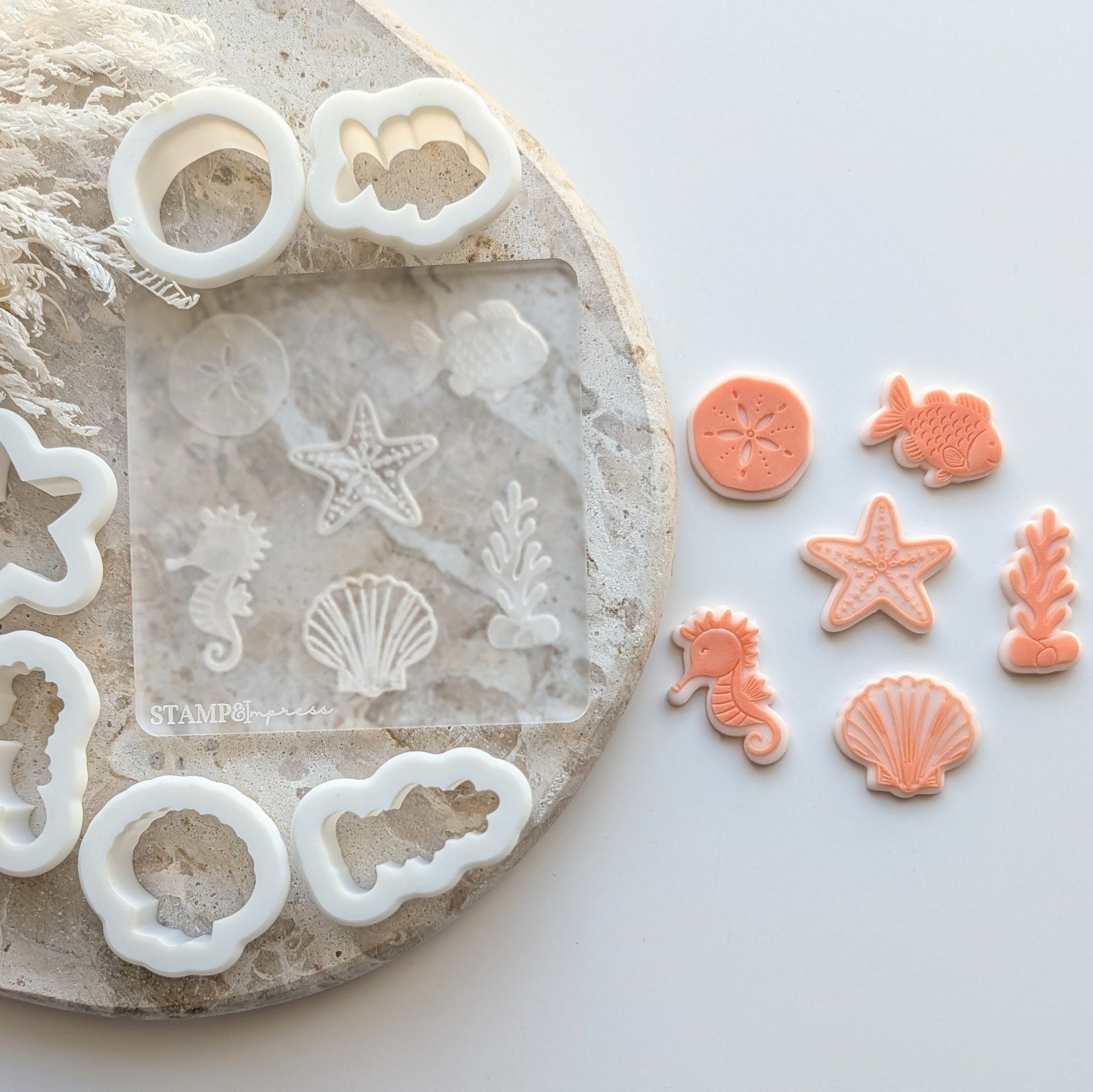 mini dollar shell fish seaweed starfish seahorse clam shell mini under the sea mermaid oneder the sea sea you soon baby cookie stamps cookie cutters stampandimpress
